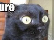 Méchant internet facilite commerce Méchant, méchant