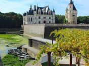 Magnifique Chenonceau!