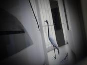 Karen Knorr Exposition