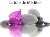 Joie Méditer (Podcast)