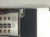 iPhone premières images carte mère