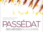 Passédat abysses lumière