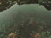 Stitched Vision Greatest Depth (PREMIERE)