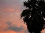 soleil dans l’oeil