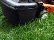 Jardinage Bretons s'échangent tondeuses