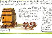 #Chroniques vigne #Fred Bernard