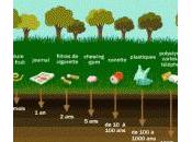 Connaitre temps dégradation produits courants pour être plus conscient gestes envers l’environnement