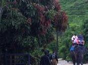 Thaïlande inondations: éléphants secours touristes