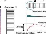 CANCER PROSTATE: Vers nouveaux tests détection diagnostic Science Translational Medicine