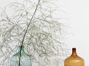 Sortez Dames Jeannes cave !!!!