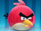 Angry Birds iPhone, nouveaux niveaux...