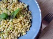 Risotto coquillettes courgette