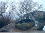 Ceux sentent leurs racines