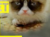 Grumpy devient l’égérie Friskies