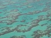 #News Biomimétisme filtres solaires imitent protection corail