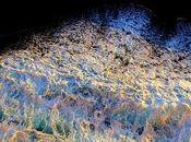 Mohammed Bennis [Toujours d’Orient revient l’automne]