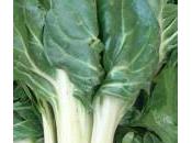 Gratin bettes/epinards l’italienne