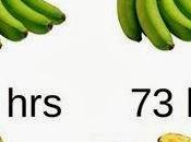 Bananas (fatalitas)