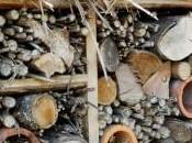 Comment construire hôtel insectes