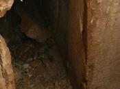 tombe étrusque retrouvée intacte Tarquinia