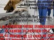 Manifestation pacifique anti vivisection-Gannat Allier 28/9/2013