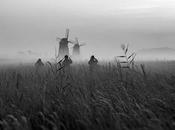 Sélection Pixfan 500px