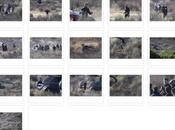 Photos: Tournage d'un clip Angeles (04/10/2013)