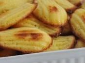Madeleines pamplemousse