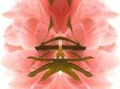 Florence Verrier expose images "miroir végétal"