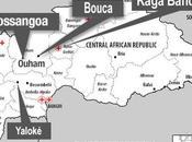 République centrafricaine situation humanitaire continue dégrader
