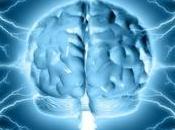NEURO: lumière favorise performances cognitives Journal Cognitive Neuroscience