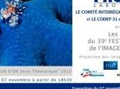 Exposition Underwater 2012″ Galerie Photon Toulouse