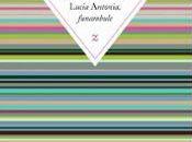 Rentrée littéraire 2013, Lucia Antonia, Funambule Daniel Morvan mélancolie suspendue