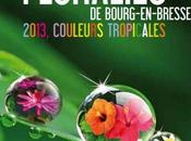 Floralies 2013 couleurs tropicales Bourg-en-Bresse