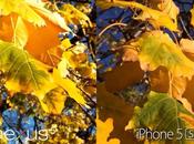 Nexus iPhone comparatif capteur photo.