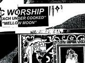 Worship Mellow Moon vinyl)