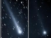 Quatre comètes observer dans ciel novembre