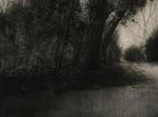 Végétal Sabrina Biancuzzi Franck Landron galerie Ralentie