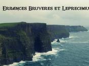 Ireland Road Trip Errances, bruyères Leprechauns