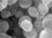 INFERTILITÉ: nanoparticules pour rechercher anomalies sperme Nanomedicine: Nanotechnology, Biology, Medicine