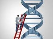 OBÉSITÉ: gène fait manger empêche bouger American Journal Human Genetics
