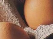 oeufs florentine vieux comté