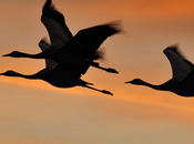 Sélection Pixfan 500px