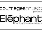 Session acoustique Éléphant