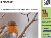 Retrouvez site "Green Vert"