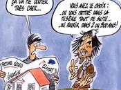 Forêt l’exploitation forestière bénéfique pour l’environnement