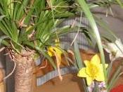 Revue presse semaine