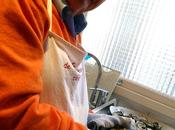 Pourquoi attendre Vive huîtres