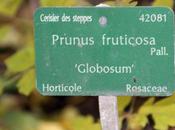 L'or l'automne, suite