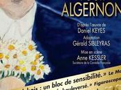Fleurs pour Algernon partir 7/02/2014